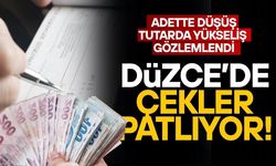 DÜZCE’DE KARŞILIKSIZ ÇEK VERİLERİ DİKKAT ÇEKTİ