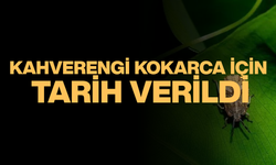 2030’DAN SONRA ETKİSİ AZALACAK