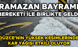 KARAYOLLARI VE İL ÖZEL İDARESİ EKİPLERİ TEYAKKUZA GEÇTİ