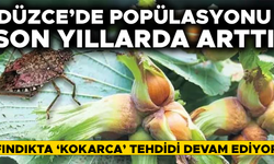 KIŞLAK MÜCADELESİ İÇİN HAZIRLIKLAR TAMAMLANDI