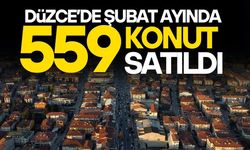 KONUT SATIŞ RAKAMLARI AÇIKLANDI