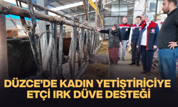 KIRSALDA BEREKET, HAYVANCILIĞA DESTEK