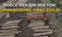 ORMAN ÜRÜNÜ İHRACATI BİR ÖNCEKİ YILI GEÇTİ