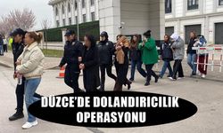 MİLYONLUK VURGUN YAPAN ŞEBEKE ÇÖKERTİLDİ