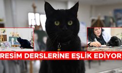 SEVİMLİ KEDİ "ŞÜKUFE" KURSİYERLERİN NEŞE KAYNAĞI OLDU