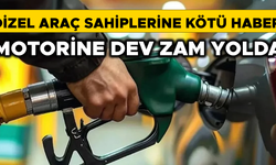 DÜZCE’DE FİYATLAR NE KADAR OLACAK?