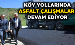 VALİ MAKAS ÇALIŞMALARI YERİNDE İNCELEDİ