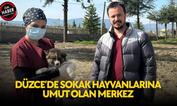 TEDAVİDEN SAHİPLENDİRMEYE TÜM SÜREÇLER TİTİZLİKLE YÜRÜTÜLÜYOR