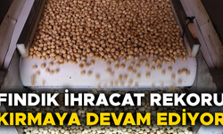 YÜZ BİNLERCE TON FINDIK İHRAÇ EDİLDİ