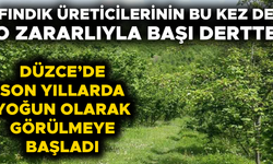 TARIM VE ORMAN İL MÜDÜRLÜĞÜ’NDEN ÜRETİCİLERE KRİTİK UYARI