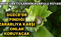 ÖNÜMÜZDEKİ GÜNLERDE BİNLERCESİ DOĞAYA SALINACAK