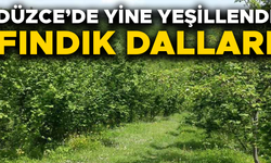 ÜRETİCİLER YENİ SEZON İÇİN ÇALIŞMALARINI SÜRDÜRÜYOR