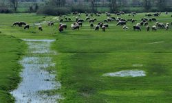 EFTENİ GÖLÜ SÜRDÜRÜLEBİLİR SU YÖNETİMİ PROJELERİYLE KORUMA ALTINDA