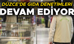 YÜZLERCE İŞYERİNDE DENETİM GERÇEKLEŞTİRİLDİ