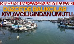 AVLANMA BU AY İÇERİSİNDE BAŞLAYACAK