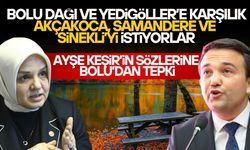 'DÜZCE SINIRLARINDA BULUNAN YEDİGÖLLER’ AÇIKLAMASI KOMŞUYU KIZDIRDI