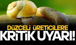 SADECE İLAÇLAMA YETMİYOR, ZARARI BÜYÜK