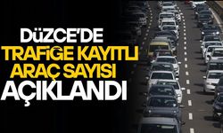 DÜZCE’DE ARAÇ SAYISI 163 BİNİ GEÇTİ