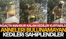 VATANDAŞLARIN DUYARLILIĞI TAKDİR TOPLADI
