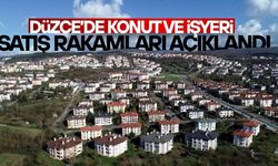 EN ÇOK HANGİ ÜLKENİN VATANDAŞI DÜZCE’DEN KONUT ALDI?