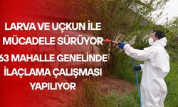 ASYA KAPLAN SİVRİSİNEĞİNE DİKKAT!