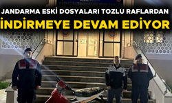 JANDARMA EKİPLERİ HIRSIZLIK ŞÜPHELİSİNİ GÖZALTINA ALDI