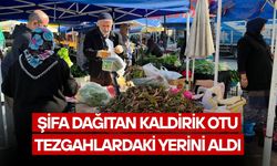 DÜZCE’DE ORMANLARDAN TOPLANAN DOĞAL LEZZETE YOĞUN İLGİ