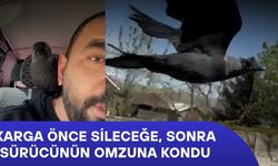 DÜZCE’DE KARGA İLE YOLCULUK KAMERADA