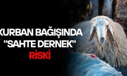 İNTERNET ORTAMINDAKİ SAHTE SİTELERE DİKKAT!