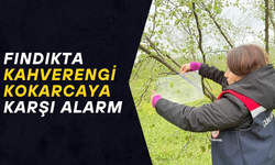 DÜZCE GENELİNDE POPÜLASYON TAKİBİ BAŞLADI