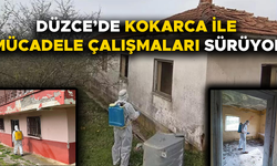 KIŞLAK ALANLARDA İLAÇLAMA ÇALIŞMASI YAPILDI