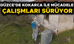 KIŞLAK ALANLARDA İLAÇLAMA ÇALIŞMASI YAPILDI