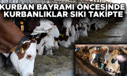 DÜZCE’DE KESİM ALANLARI VE HAYVAN PAZARINDA ÖNLEMLER ARTTIRILDI