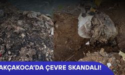 DERE KENARINA DÖKÜLEN TELEF OLMUŞ TAVUKLAR TEPKİLERİN ARDINDAN TOPRAĞA GÖMÜLDÜ