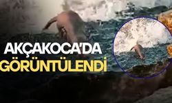 DENİZDE AVLANAN SU SAMURU KAMERADA