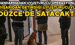 BİR ŞÜPHELİ GÖZALTINA ALINDI