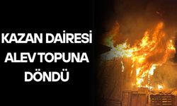 OTLUOĞLU MAHALLESİNDE KORKUTAN YANGIN