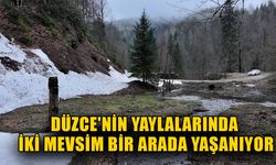 ÇİÇEKLER DOĞASEVERLERİ DAVET EDİYOR