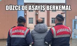 POLİS VE JANDARMA ÇALIŞMALARINI SÜRDÜRÜYOR