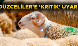 HAYVANLARDAN İNSANLARA BULAŞIYOR