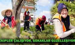 DÜZCE BELEDİYESİ BAYRAMA HAZIRLANIYOR