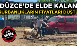 KURBAN PAZARINDAKİ HAREKETLİLİK BUGÜN DE SÜRDÜ