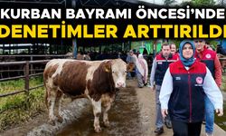 EKİPLER DÜZCE’DE ON BİNLERCE HAYVANI KONTROLDEN GEÇİRDİ