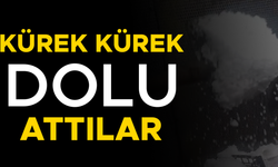 KÖYLÜLERİN DOLUYLA MÜCALEDESİ