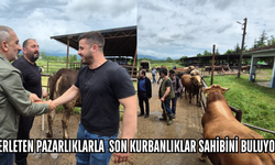 HAYVAN PAZARINDA SON GÜNLER