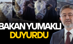 ELDE KALAN KURBANLIKLAR ET VE SÜT KURUMU TARAFINDAN SATIN ALINACAK