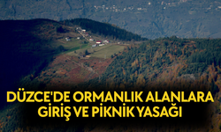 ANIZ VE BENZERİ BİTKİ ÖRTÜSÜ YAKMAK YASAKLANDI