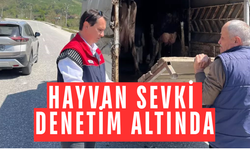 BELGESİZ HAYVAN TAŞIYAN ARAÇLARA İDARİ PARA CEZASI