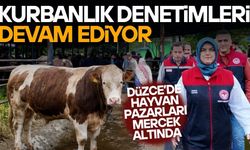 DÜZCE GİRİŞ VE ÇIKIŞINDA HAYVAN NAKİLLERİ DE İNCELENİYOR