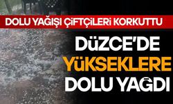 DÜZCE'DE YÜKSEKLERE DOLU YAĞDI